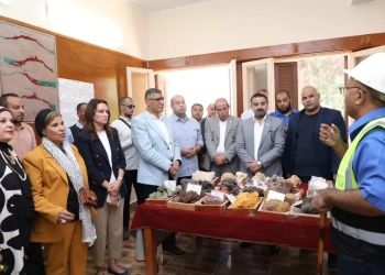 محافظ الجيزة يزور أكبر مناجم للحديد والصلب بالشرق الأوسط في الواحات البحرية 19 - جريدة المساء
