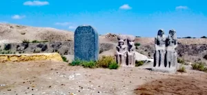 علاء عبدالمعطي: "كفر الشيخ" محافظة واعدة.. ودخلنا مجالات الإستثمار السياحى والصناعى والزراعى بكل قوة 29 - جريدة المساء