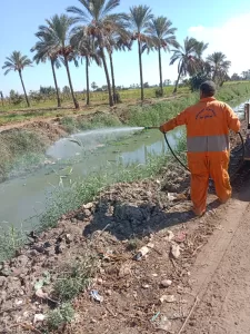 تزامناً مع المبادرة الرئاسية "بداية جديدة لبناء الإنسان "الشرقية تكثف جهودها في مكافحة الذباب والبعوض وناقلات الأمراض 23 - جريدة المساء