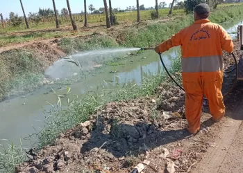 تزامناً مع المبادرة الرئاسية "بداية جديدة لبناء الإنسان "الشرقية تكثف جهودها في مكافحة الذباب والبعوض وناقلات الأمراض 17 - جريدة المساء