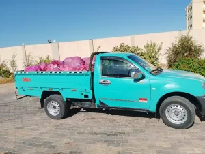 موجهاً بإحالة السائق للنيابة العامة.. محافظ البحر الأحمر يعلن ضبط سيارة نقل تلقي مخلفات طبية بصناديق القمامة  19 - جريدة المساء