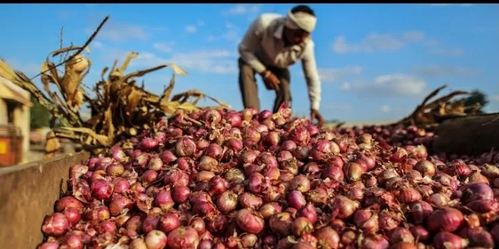 وزير الزراعة : فتح السوق الكوستاريكي أمام صادرات مصر من البصل الطازج 20 - جريدة المساء وزير الزراعة : فتح السوق الكوستاريكي أمام صادرات مصر من البصل الطازج 19 - جريدة المساء