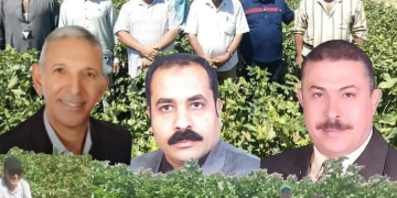 الذهب الأبيض يغزو الصحراء الغربية.. 1 - جريدة المساء