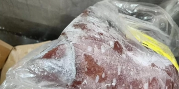 ضبط 112 كجم أسماك ولحوم غير صالحة للاستهلاك الآدمي 2 - جريدة المساء ضبط 112 كجم أسماك ولحوم غير صالحة للاستهلاك الآدمي 1 - جريدة المساء