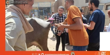 علاج ٩٥٠ حيوان بقرية ونينه الغربيه خلال قافلة جامعة سوهاج البيطرية المجانية 1 - جريدة المساء