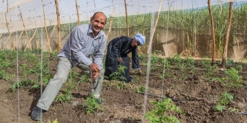 محسن سرحان: ثلث الطعام في العالم يتم هدره.. ويتسبب في تداعيات اقتصادية سلبية على المستوى الدولي  1 - جريدة المساء
