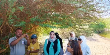 محافظ أسوان يكلف سهير مكي للمشاركة فى الإحتفال بيوم الطيور العالمى بمحمية سالوجا وغزال 1 - جريدة المساء