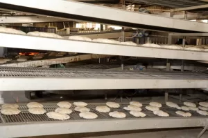 لتقديم رغيف خبز جيد للمواطنين.. محافظ الشرقية يتفقد مشروع المخابز الآلية ونصف الآلية بمنطقتي الصيادين وأبو خليل بالزقازيق 41 - جريدة المساء