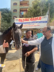 ضبط 27 طن لحوم ودواجن وكبدة فاسدة بالجيزة خلال حملات شهر سبتمبر 23 - جريدة المساء