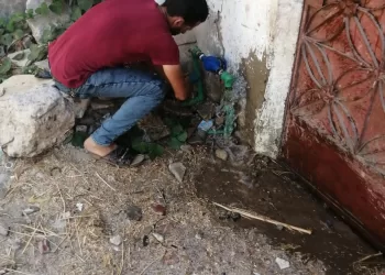 مياه الإسكندرية تواصل حملاتها لإزالة التعديات على الشبكة بفرع المندرة 34 - جريدة المساء