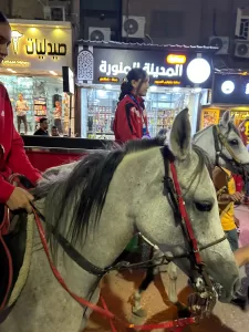 إحتفالية شرقاوية بالاعلام المصرية ورقصات الخيول العربية والطبل والمزمار البلدي ببطلتي العالم في الكارتية "مريم طنطاوي" و"رؤي الطاهر" 27 - جريدة المساء