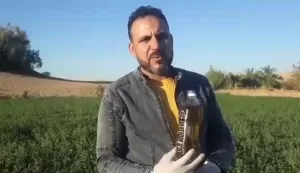 مصر رقم 1عالميا في إنتاج الزيتون.. الوصول الي 100مليون شجرة قريبا 54 - جريدة المساء مصر رقم 1عالميا في إنتاج الزيتون.. الوصول الي 100مليون شجرة قريبا 53 - جريدة المساء