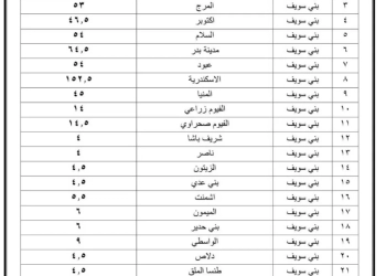 محافظ بني سويف يعتمد تعريفة الركوب الجديدة بعد قرار لجنة التسعير زيادة أسعار البنزين والسولار وغاز تموين  السيارات 21 - جريدة المساء