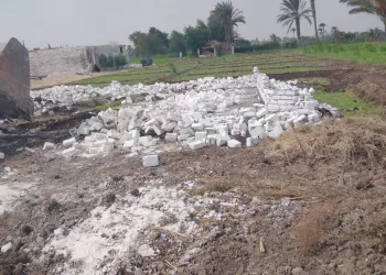  محافظ بني سويف: إزالة 83 حالة ضمن حملات المرحلة الأولى  من الموجة الـــ 24 لإزالة التعديات على أراض أملاك الدولة والزراعة 19 - جريدة المساء