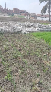 محافظ بني سويف: إزالة 83 حالة ضمن حملات المرحلة الأولى من الموجة الـــ 24 لإزالة التعديات على أراض أملاك الدولة والزراعة 51 - جريدة المساء محافظ بني سويف: إزالة 83 حالة ضمن حملات المرحلة الأولى من الموجة الـــ 24 لإزالة التعديات على أراض أملاك الدولة والزراعة 50 - جريدة المساء