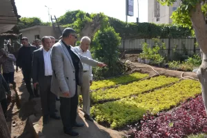 بالصور- محافظ الجيزة يتفقد مشروعات تطوير الطرق المحيطة والمؤدية للمتحف المصري الكبير 42 - جريدة المساء