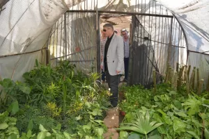 بالصور- محافظ الجيزة يتفقد مشروعات تطوير الطرق المحيطة والمؤدية للمتحف المصري الكبير 44 - جريدة المساء