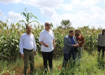 رئيس قطاع الإرشاد الزراعي يتفقد مجمعات الخدمات الزراعية ضمن مبادرة "حياة كريمة" بالفيوم 19 - جريدة المساء