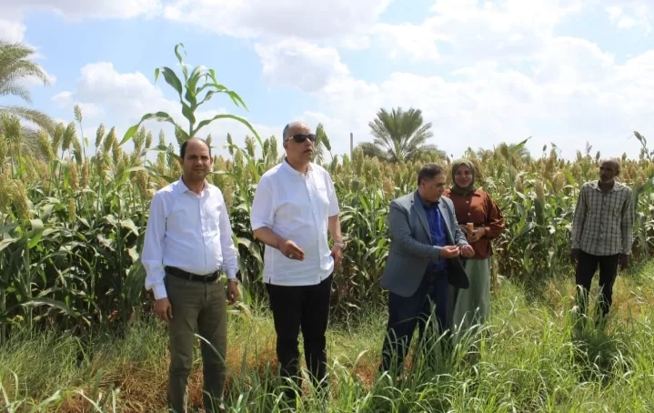 رئيس قطاع الإرشاد الزراعي يتفقد مجمعات الخدمات الزراعية ضمن مبادرة "حياة كريمة" بالفيوم 19 - جريدة المساء