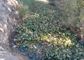 ترعة سدس الشرقية ٠ ٠ بؤرة تلوث 31 - جريدة المساء