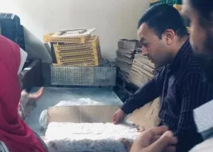 ضبط 35 طن مجزءات دواجن مجهولة المصدر بعدة حملات بالاسماعيلية 23 - جريدة المساء