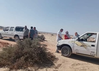 الإسماعيلية تسترد 5 قطع أراضي بمساحة 43 فدانا بالفردان والشهيد خيري 16 - جريدة المساء