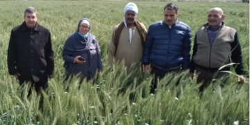 الزراعه :تجهيز الأرض ومعالجه التربه استعدادا لزراعه القمح 1 - جريدة المساء