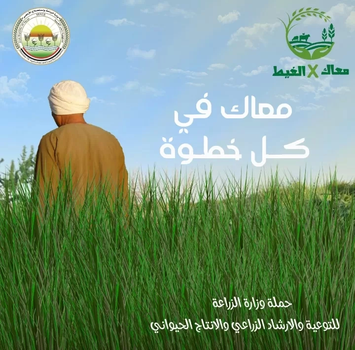 "الزراعة" تطلق حملة "معاك في الغيط" للتوعية والإرشاد الزراعي والانتاج الحيواني عبر "السوشيال ميديا" 19 - جريدة المساء