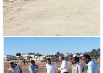 تمساح يثير الزعر بمنطقة ابو بكر الصديق بسيوة 31 - جريدة المساء