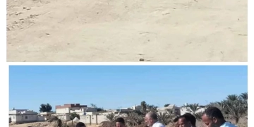 تمساح يثير الزعر بمنطقة ابو بكر الصديق بسيوة 2 - جريدة المساء تمساح يثير الزعر بمنطقة ابو بكر الصديق بسيوة 1 - جريدة المساء