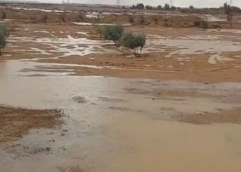 أمطار رعدية على مدن مطروح.. والمحافظة تعلن حالة التأهب القصوى 31 - جريدة المساء