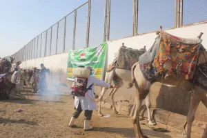 "بيطري الجيزة" تعالج 9008 من الخيول والجمال خلال 30 قافلة مجانية 75 - جريدة المساء