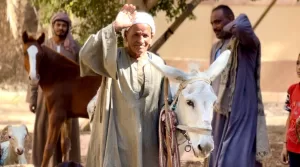 "مستقبل وطن" ينظم أكبر قافلة بيطرية بقرية البراهمة بقنا 37 - جريدة المساء