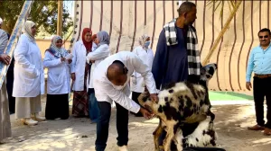 "مستقبل وطن" ينظم أكبر قافلة بيطرية بقرية البراهمة بقنا 27 - جريدة المساء