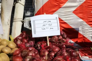 وزير التموين ومحافظ الجيزة يفتتحان “سوق اليوم الواحد” في إمبابة بتخفيضات 30% 89 - جريدة المساء