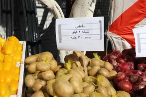 وزير التموين ومحافظ الجيزة يفتتحان “سوق اليوم الواحد” في إمبابة بتخفيضات 30% 91 - جريدة المساء