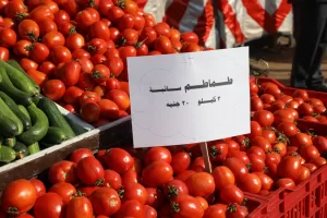 وزير التموين ومحافظ الجيزة يفتتحان “سوق اليوم الواحد” في إمبابة بتخفيضات 30% 93 - جريدة المساء