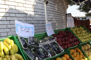 وزير التموين ومحافظ الجيزة يفتتحان “سوق اليوم الواحد” في إمبابة بتخفيضات 30% 95 - جريدة المساء