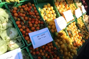 وزير التموين ومحافظ الجيزة يفتتحان “سوق اليوم الواحد” في إمبابة بتخفيضات 30% 97 - جريدة المساء