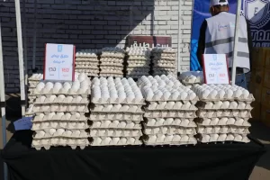 وزير التموين ومحافظ الجيزة يفتتحان “سوق اليوم الواحد” في إمبابة بتخفيضات 30% 99 - جريدة المساء