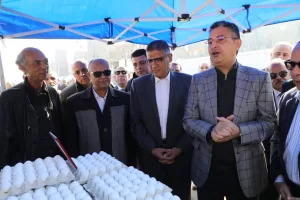 وزير التموين ومحافظ الجيزة يفتتحان “سوق اليوم الواحد” في إمبابة بتخفيضات 30% 105 - جريدة المساء