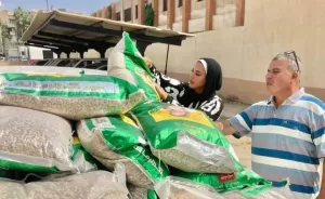 تحرير 154محضر مخالفة تموينية لمحال ومخابز بلدية بالإسماعيلية 25 - جريدة المساء
