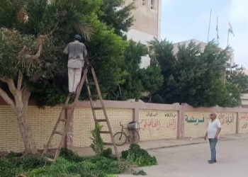 حملة نظافة مكثفة وصيانة لأعمدة الإنارة بأبوخليفة الإسماعيلية 35 - جريدة المساء