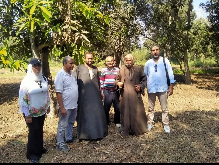 "الزراعة" تقدم الدعم الفني والإرشادي لمزارعي البساتين بمحافظة الغربية 19 - جريدة المساء