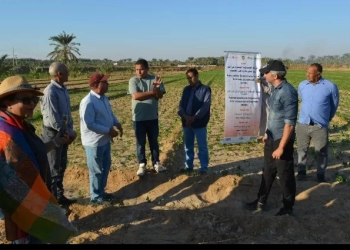 الزراعة: تعاون بين بحوث الصحراء والإيكاردا لتنفيذ مشروع الزراعة الصحراوية بتوشكي والوادي الجديد 15 - جريدة المساء