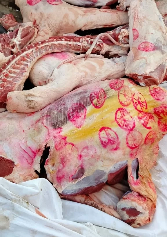 ضبط 12 طن لحوم و دواجن و أسماك فاسدة..بالمنوفية 17 - جريدة المساء