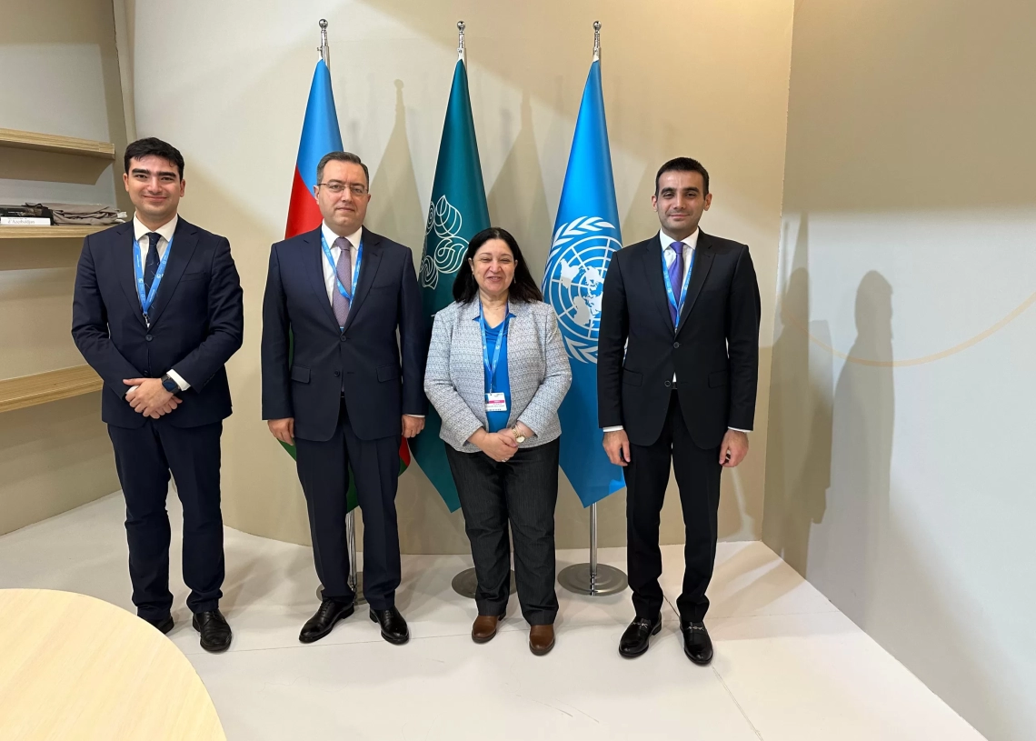 من باكو إلى العالم.. التضامن تقود حوار التنمية البشرية فى مواجهة تغير المناخ فى cop29 18 - جريدة المساء نائبة وزيرة التضامن الاجتماعى خلال الفعاليات