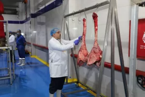 محافظ الشرقية يفتتح مجزر نصف آلي بقرية قصاصين الشرق بالحسينية 41 - جريدة المساء محافظ الشرقية يفتتح مجزر نصف آلي بقرية قصاصين الشرق بالحسينية 40 - جريدة المساء