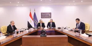 وزيرا قطاع الأعمال العام والاتصالات وتكنولوجيا المعلومات يبحثان تسريع الخطوات التنفيذية لمشروع تطبيق "ERP" بالشركات التابعة لوزارة قطاع الأعمال العا 25 - جريدة المساء