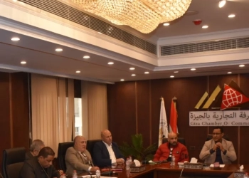 «تجارية الجيزة»: مستثمرون ليبيون يعرضون استيراد الأدوية المحلية ومواد البناء 17 - جريدة المساء